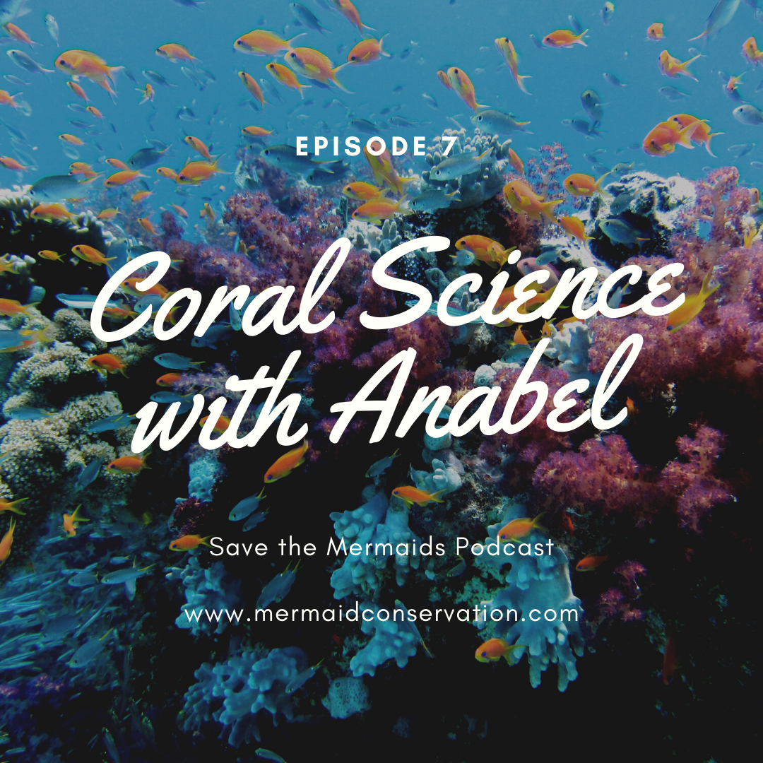 Episode 7: Keeping our Corals Safe with Anabel 