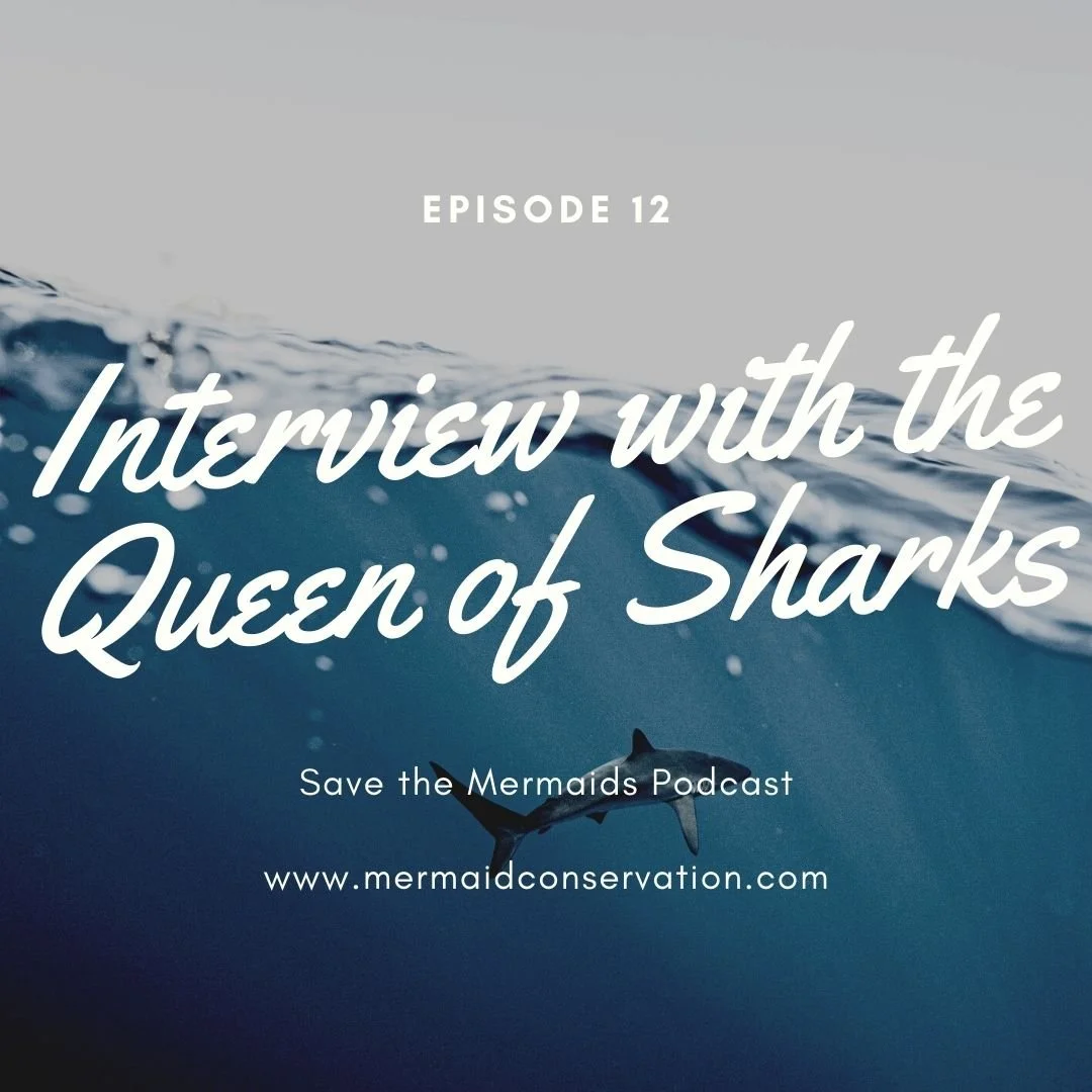 Episode 12: Interview with Bre- Queen of Sharks