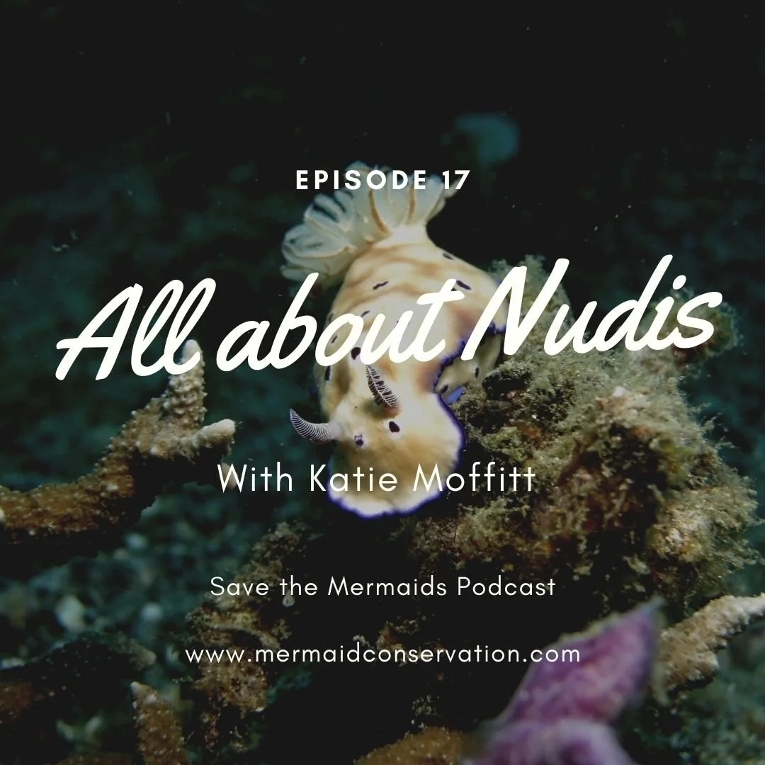 Episode 17: All about Nudis with Katie Moffitt