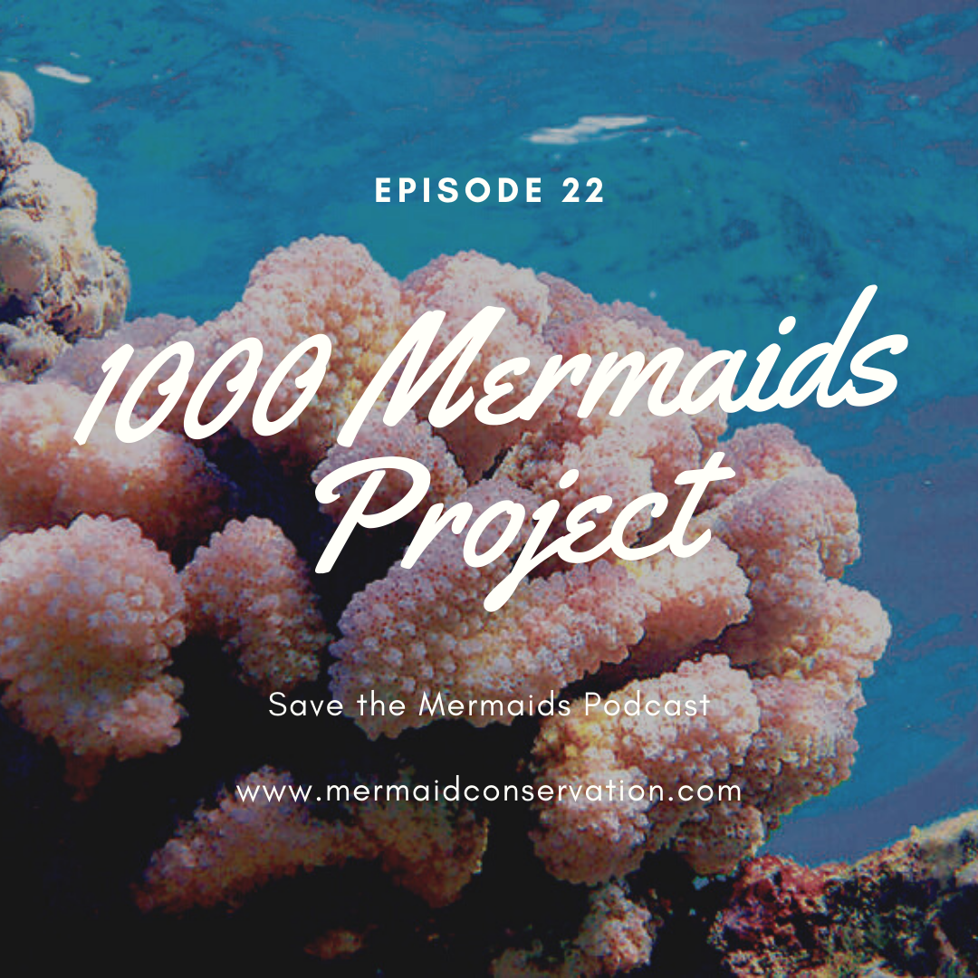 Episode 22: 1000 Mermaids Project