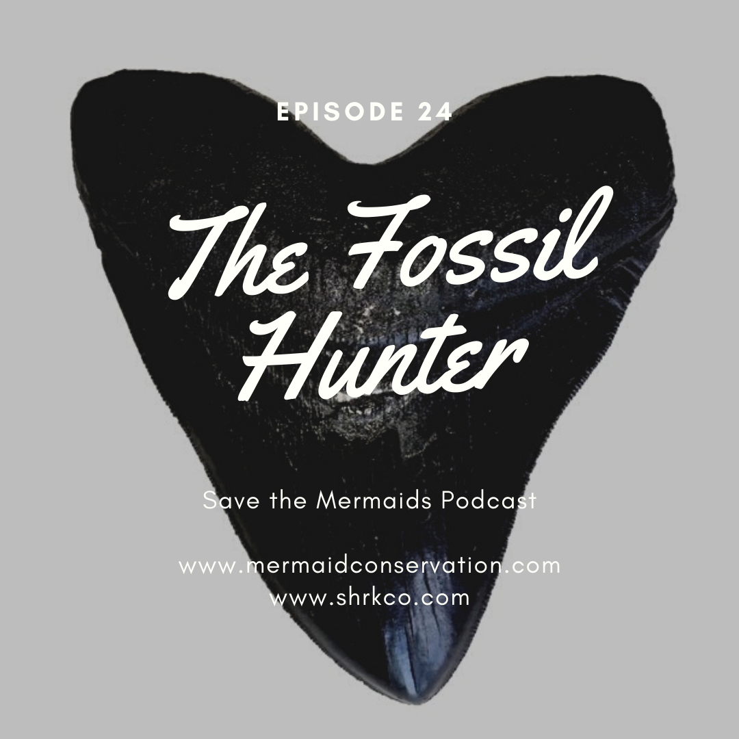 Episode 24: The Fossil Hunter