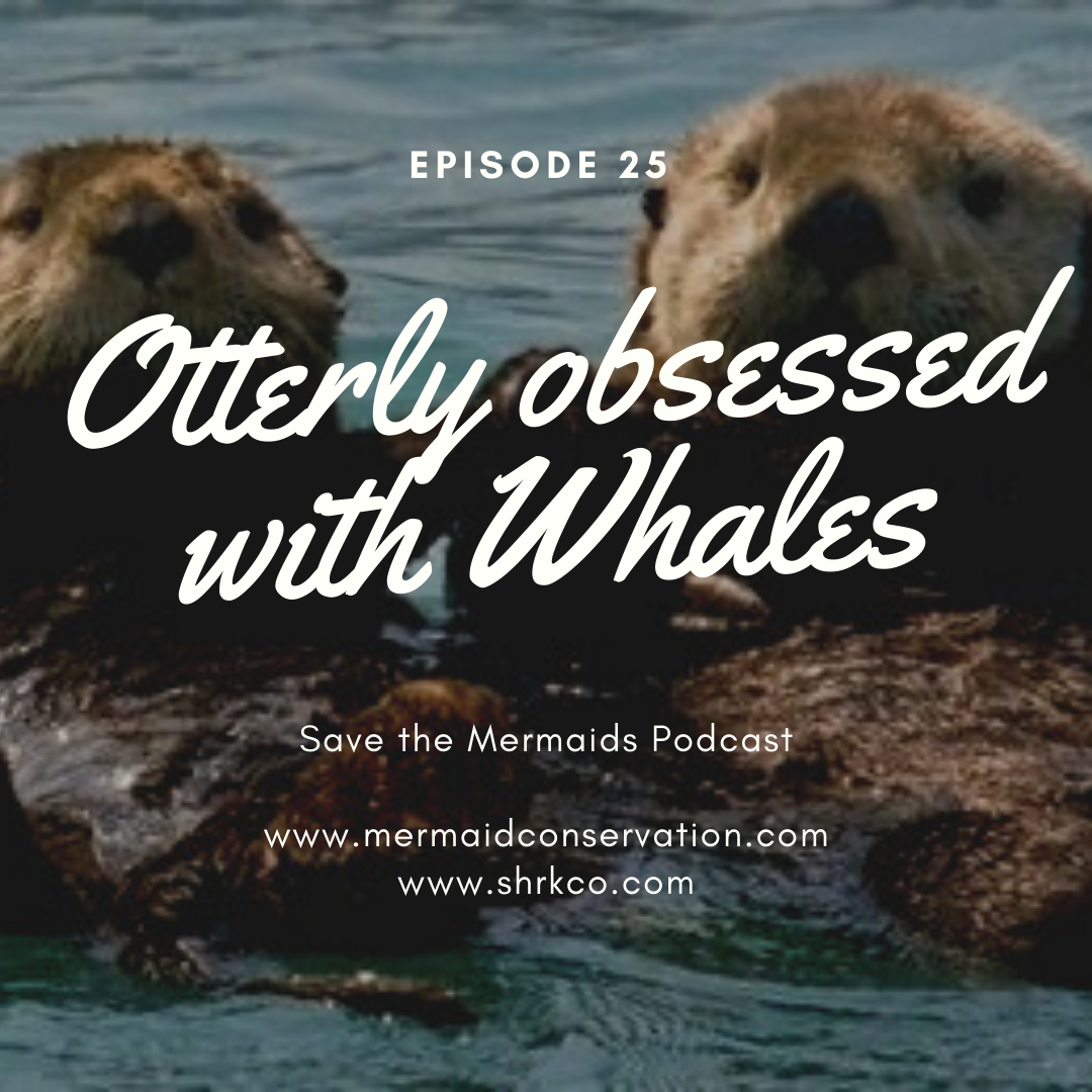 Episode 25: Otterly obsessed with whales!