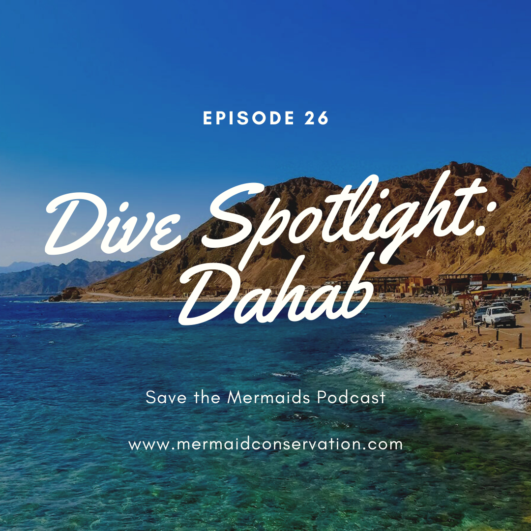 Episode 26: Dive Spotlight: Dahab