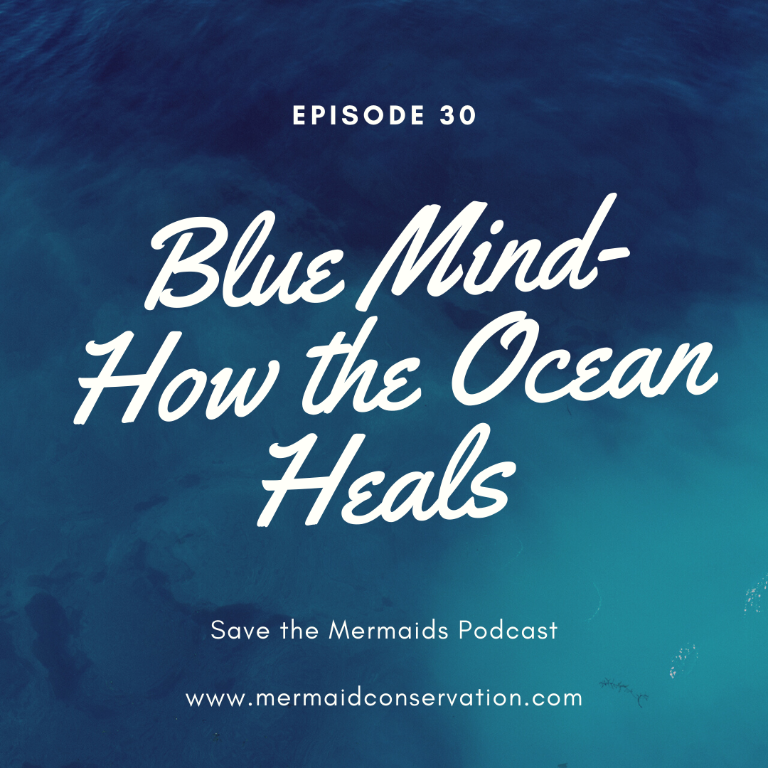 Episode 30: Blue Mind- How the Ocean Heals 