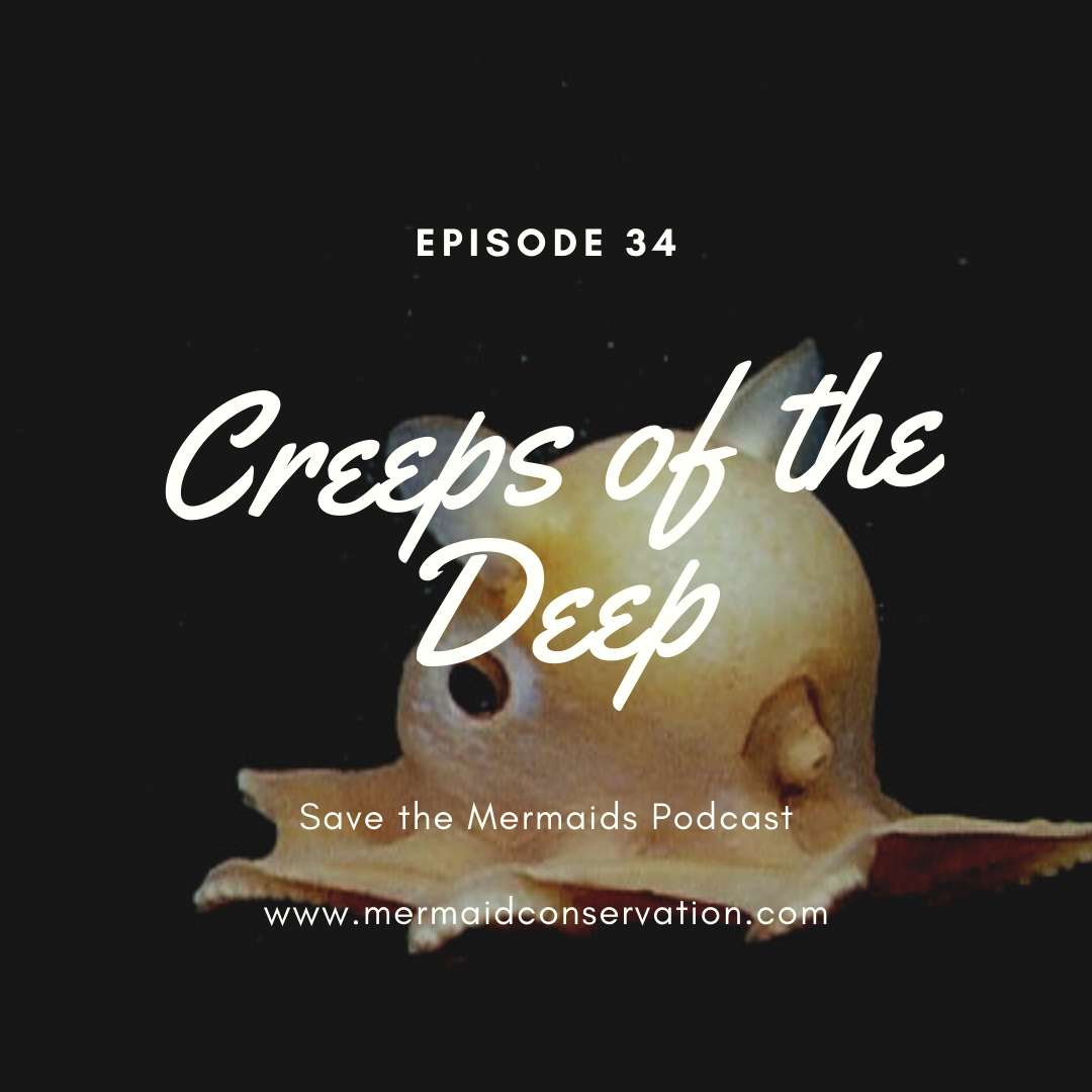 Episode 34: Creeps of the Deep