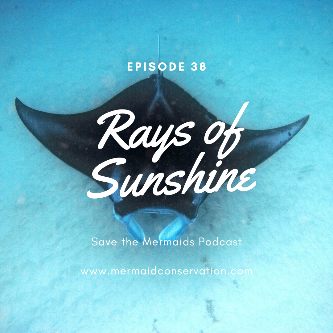 Episode 38