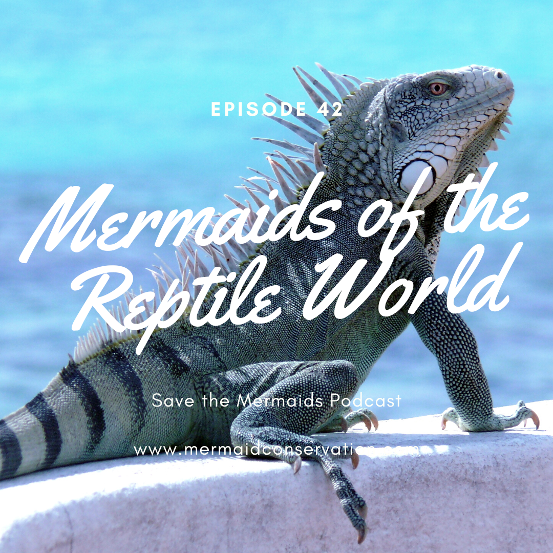 Episode 42: Mermaids of the Reptile World