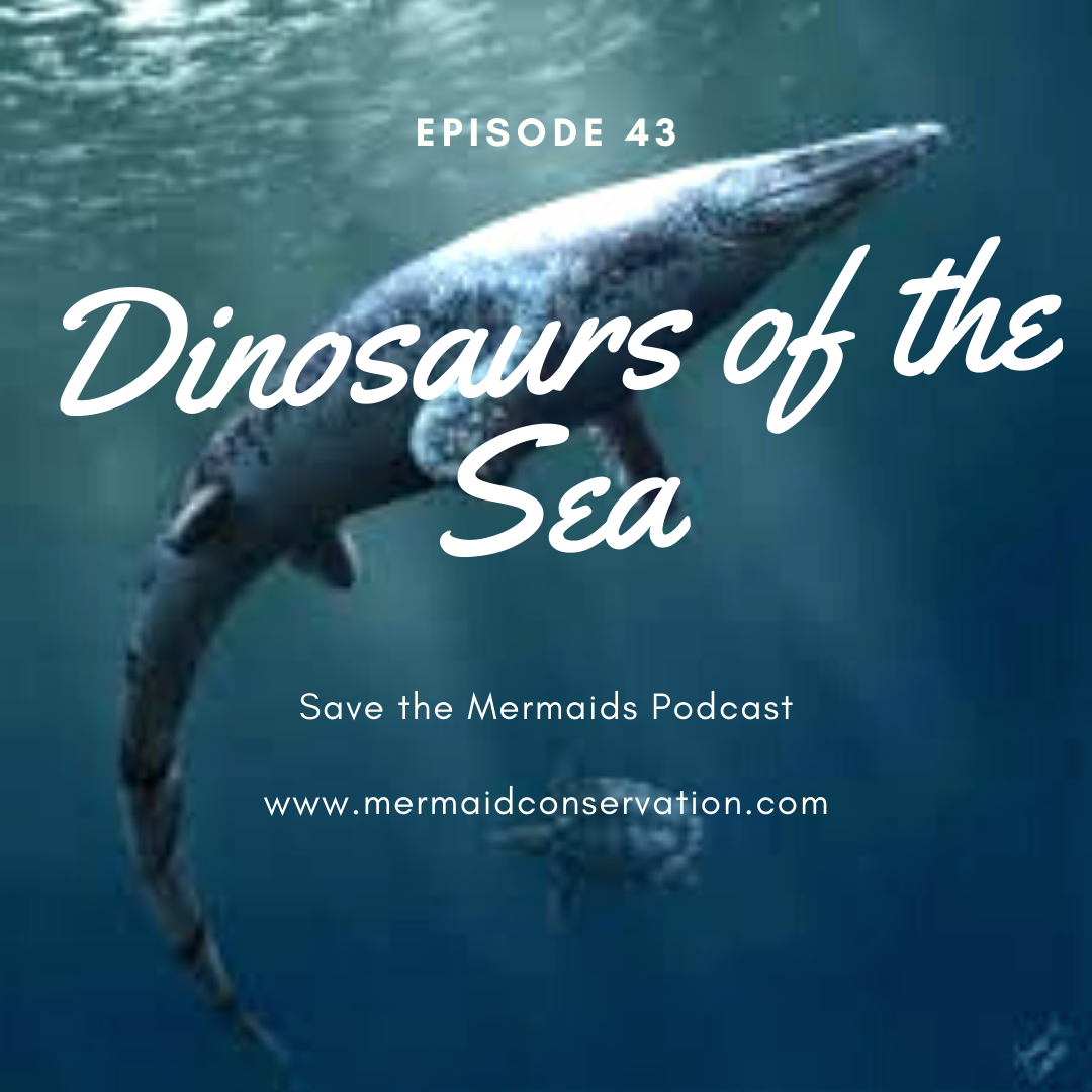 Episode 43: Dinosaurs of the Sea
