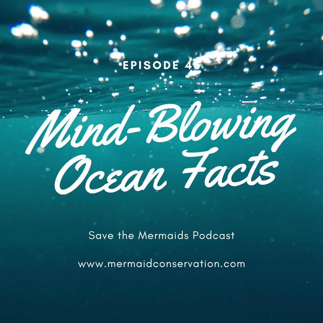 Episode 46: Ocean facts that will blow your mind!