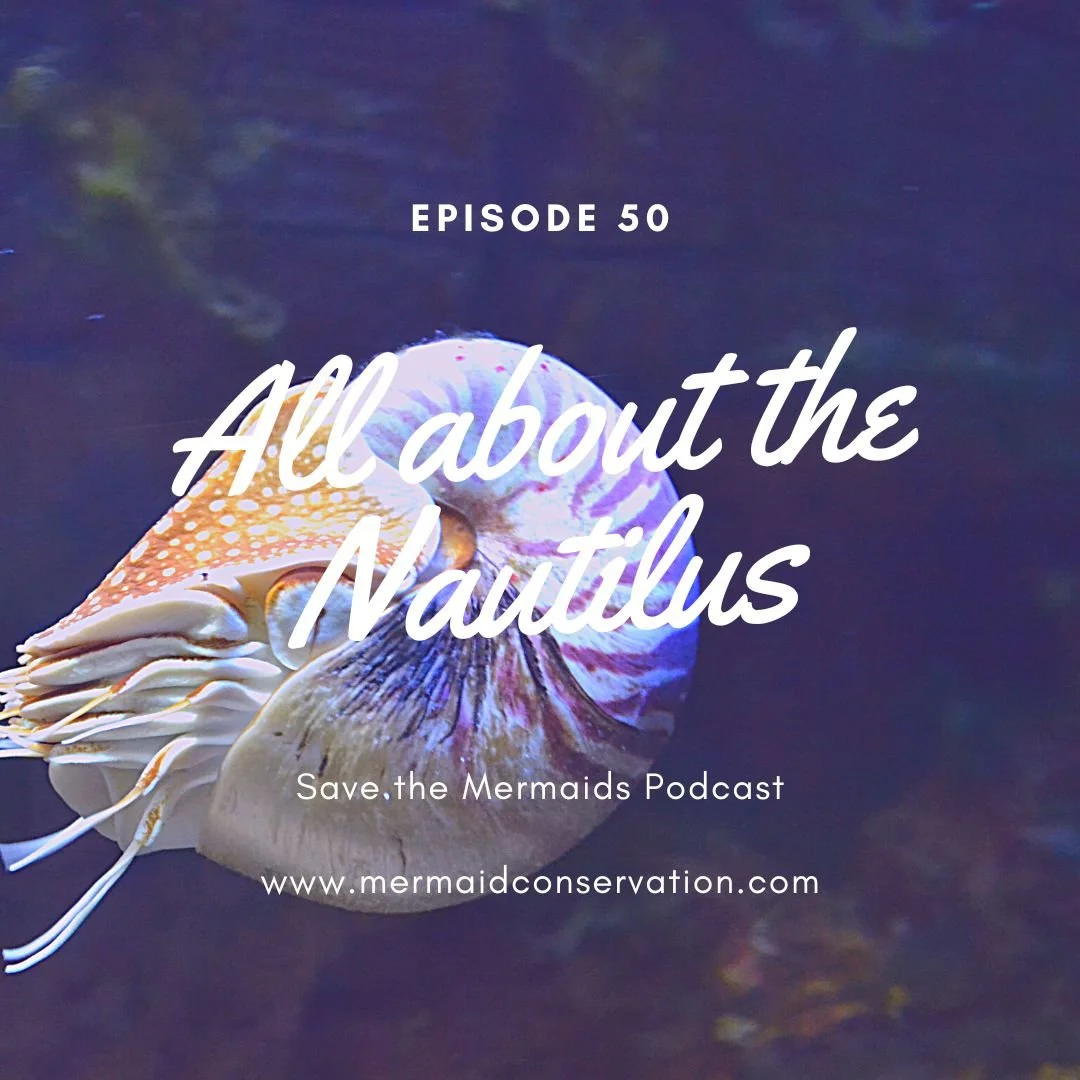 Episode 50: All about the Nautilus