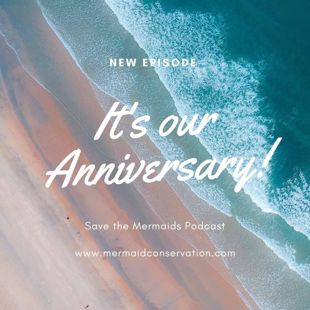 Episode 54: It’s our Anniversary!