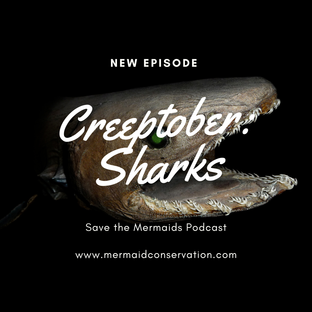 Season 2 Episode 1: Creeptober- creepy sharks