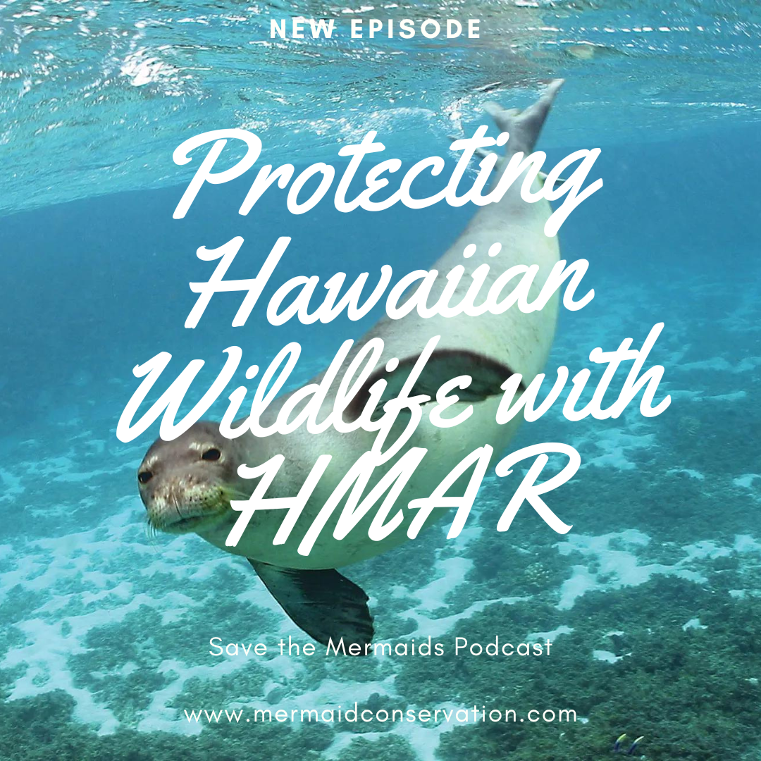 Season 2 Episode 8: Protecting Hawaiian wildlife with HMAR