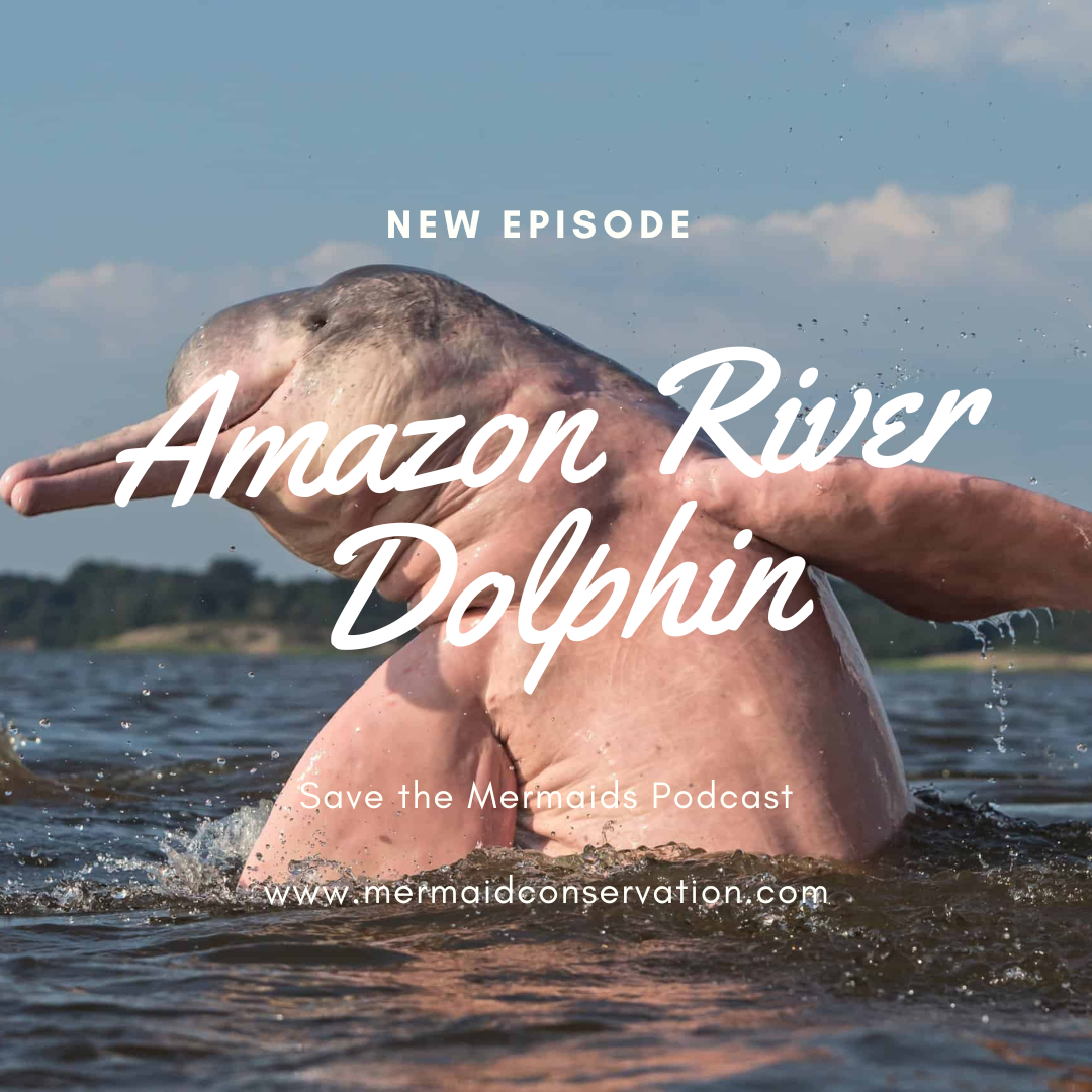 Season 2 Episode 7: Amazon River Dolphin