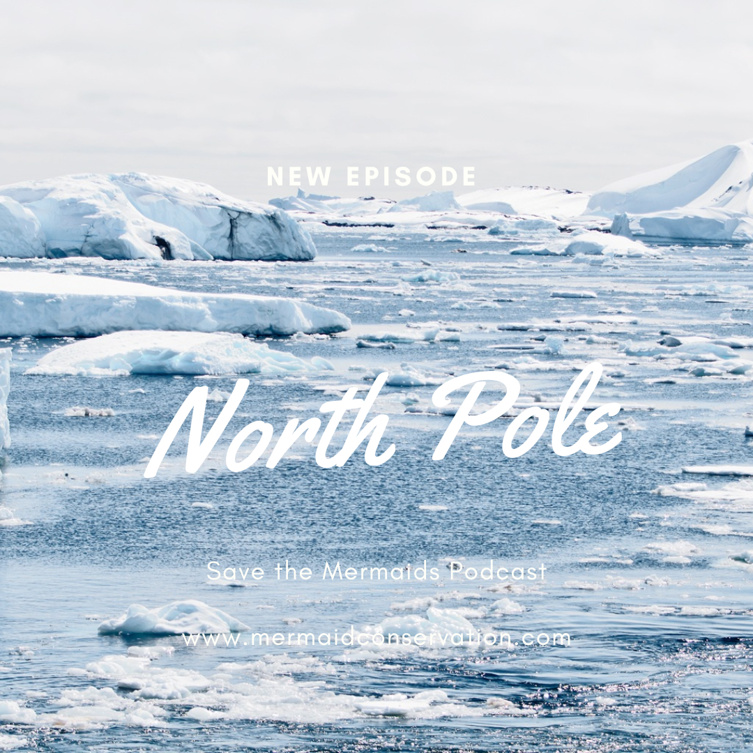 Season 2 Episode 12: The North Pole