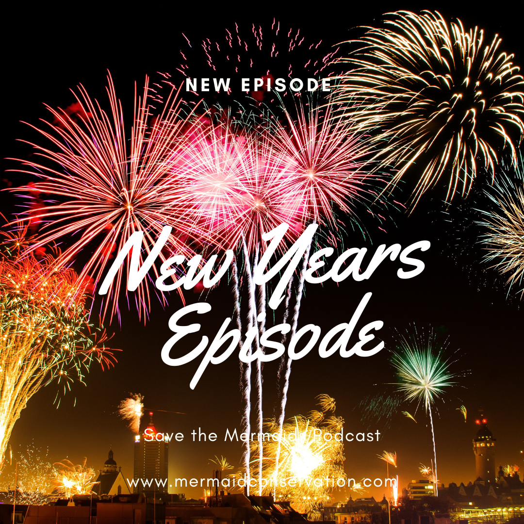 Season 2 Episode 13: New Years Goal Planning