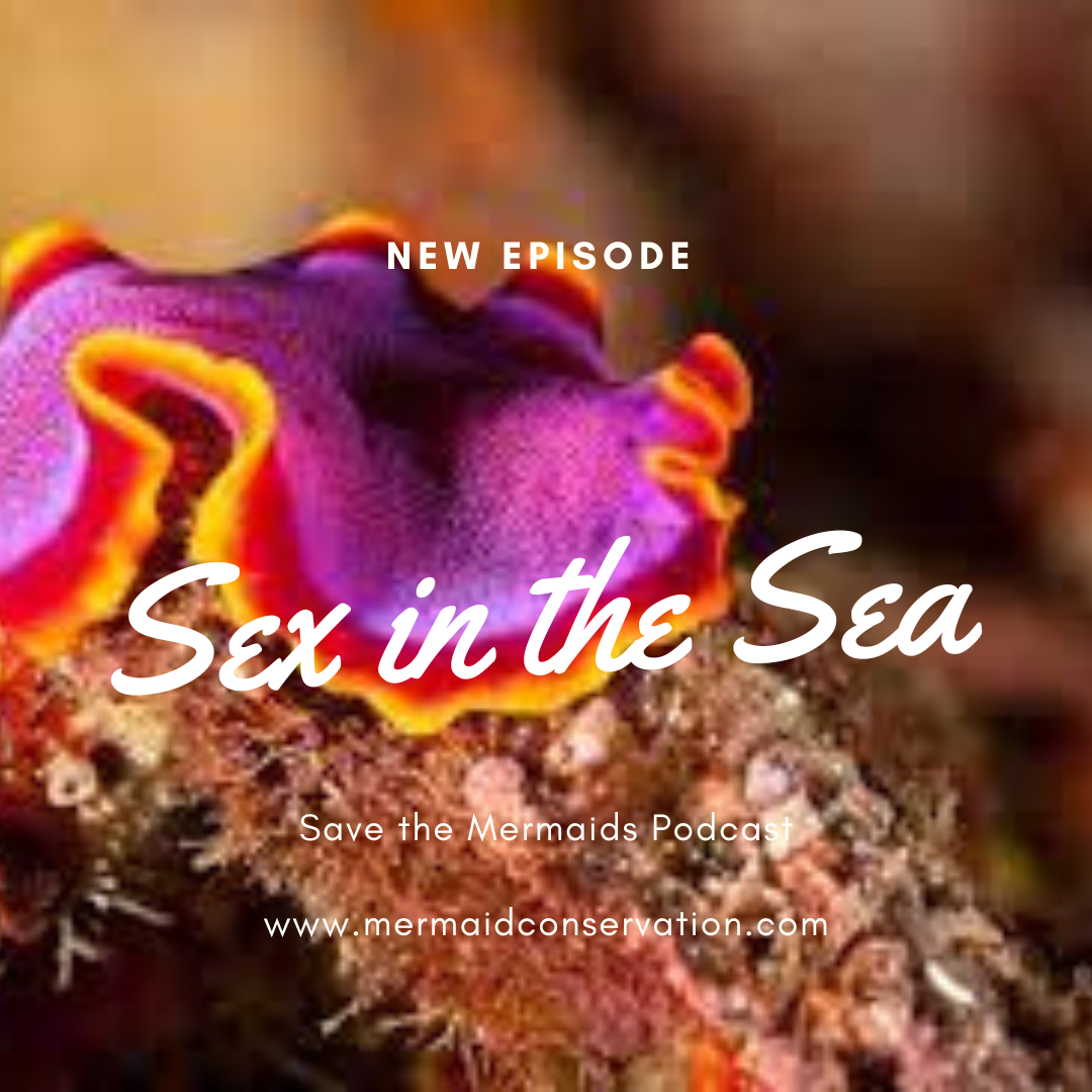 Season 2 Episode 19: Sex in the Sea