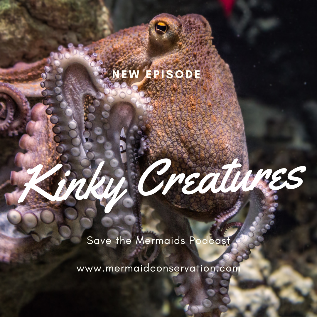 Season 2 Episode 20: Kinky Creatures