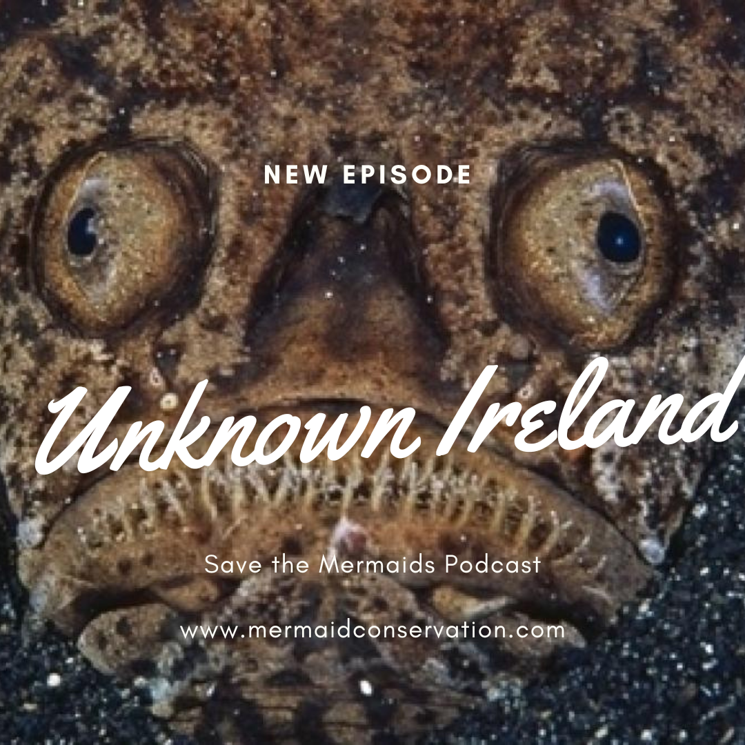 Season 2 Episode 24: Unknown Ireland