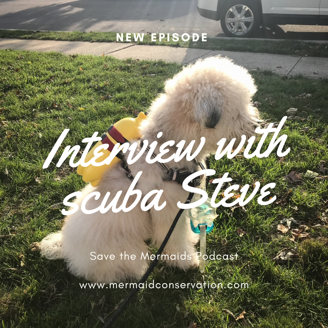 Season 2 Episode 30: Interview with Scuba Steve