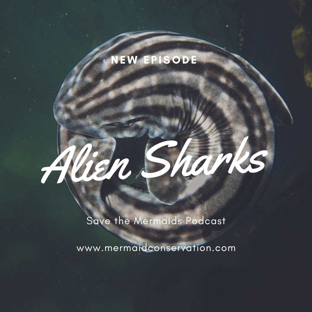 Season 2 Episode 50: Alien Sharks