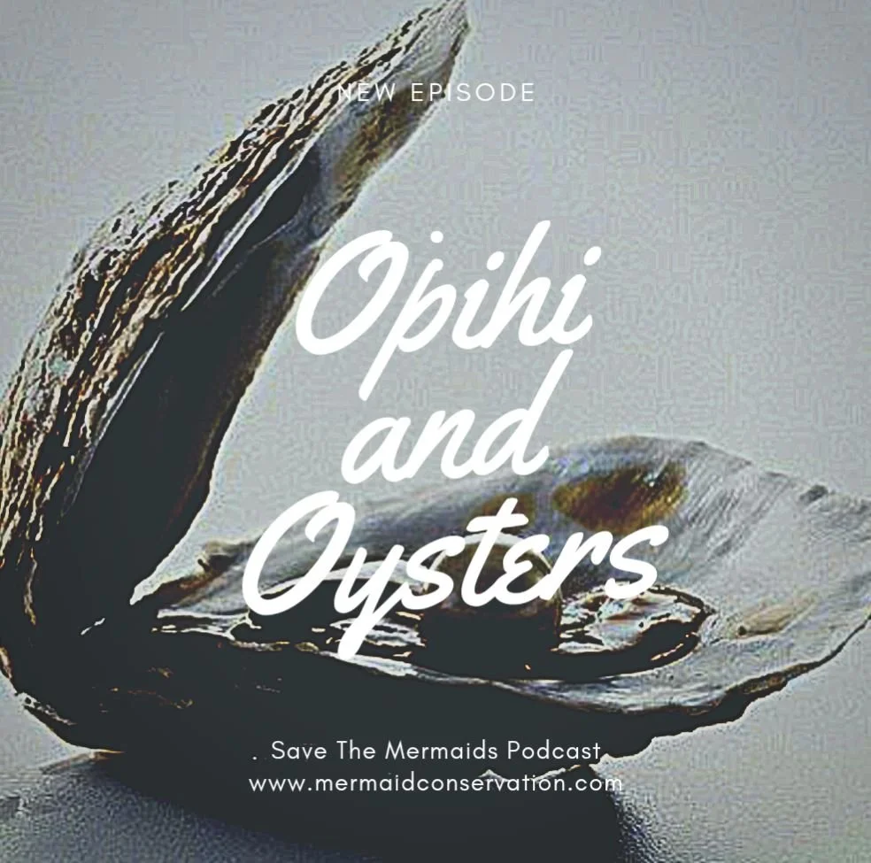 Season 3 Episode 23: Opihi and Oysters