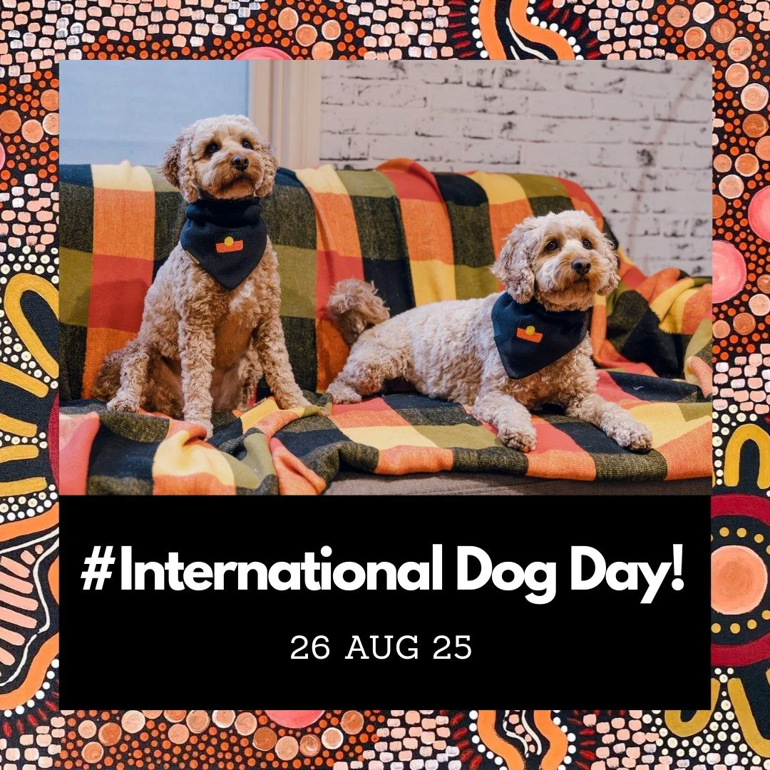 Shout out to our CEO &amp; CFO, Leroy &amp; Lola!

As Chief Excitement Officer, Leroy has been instrumental in ensuring no package is delivered unnoticed and as Chief Fetching Officer, Lola brings that ball each and every day! 

Couldn't do it withou