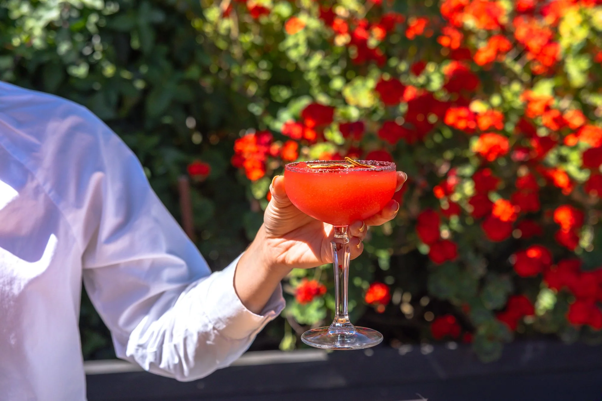 A person wearing a white shirt holding a pink cocktail in a glass with a salted rim and a cinnamon stick garnish, with a background of red and green plants.