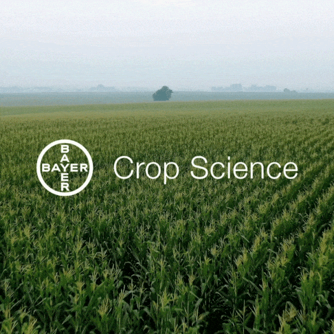 Bayer Crop Science Videos