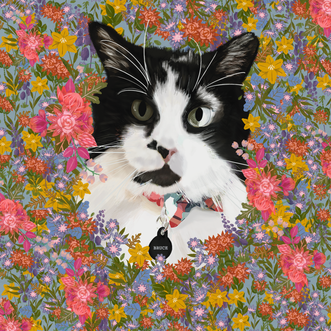Bruce-Pet Portrait.png