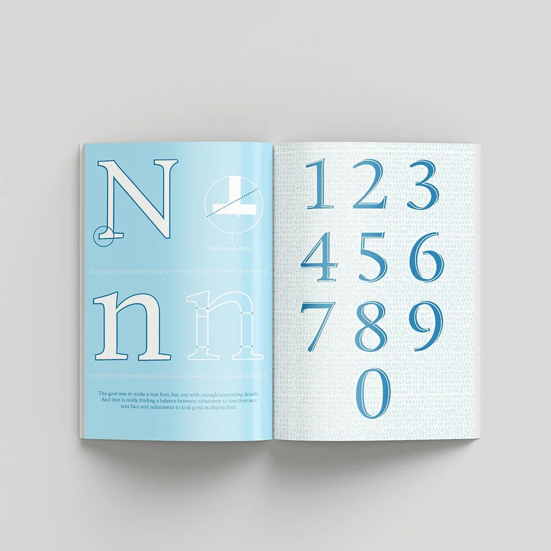 callunbook3-4.jpg