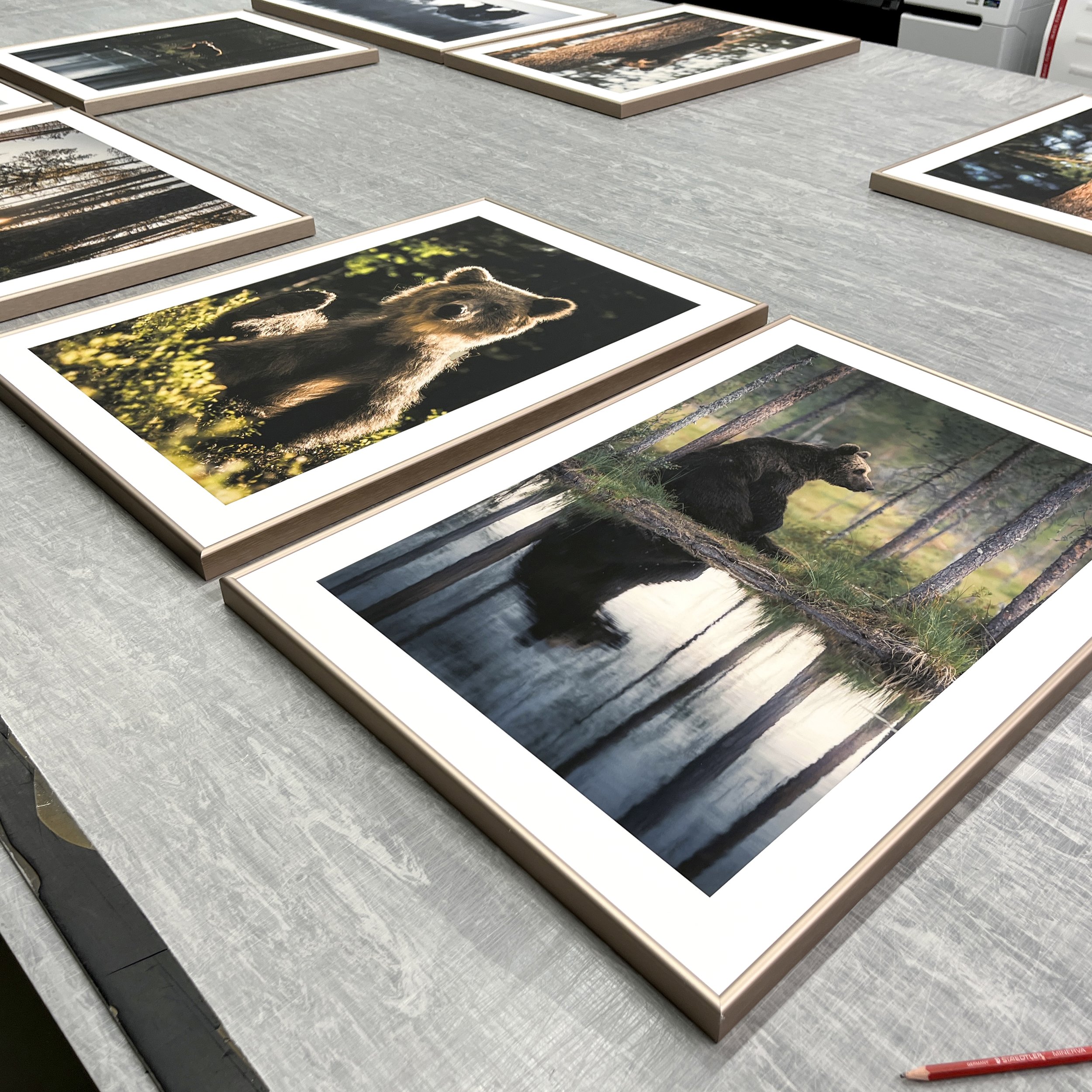 Konsta Punkka / Nielsen15 Bronze / printed passepartout