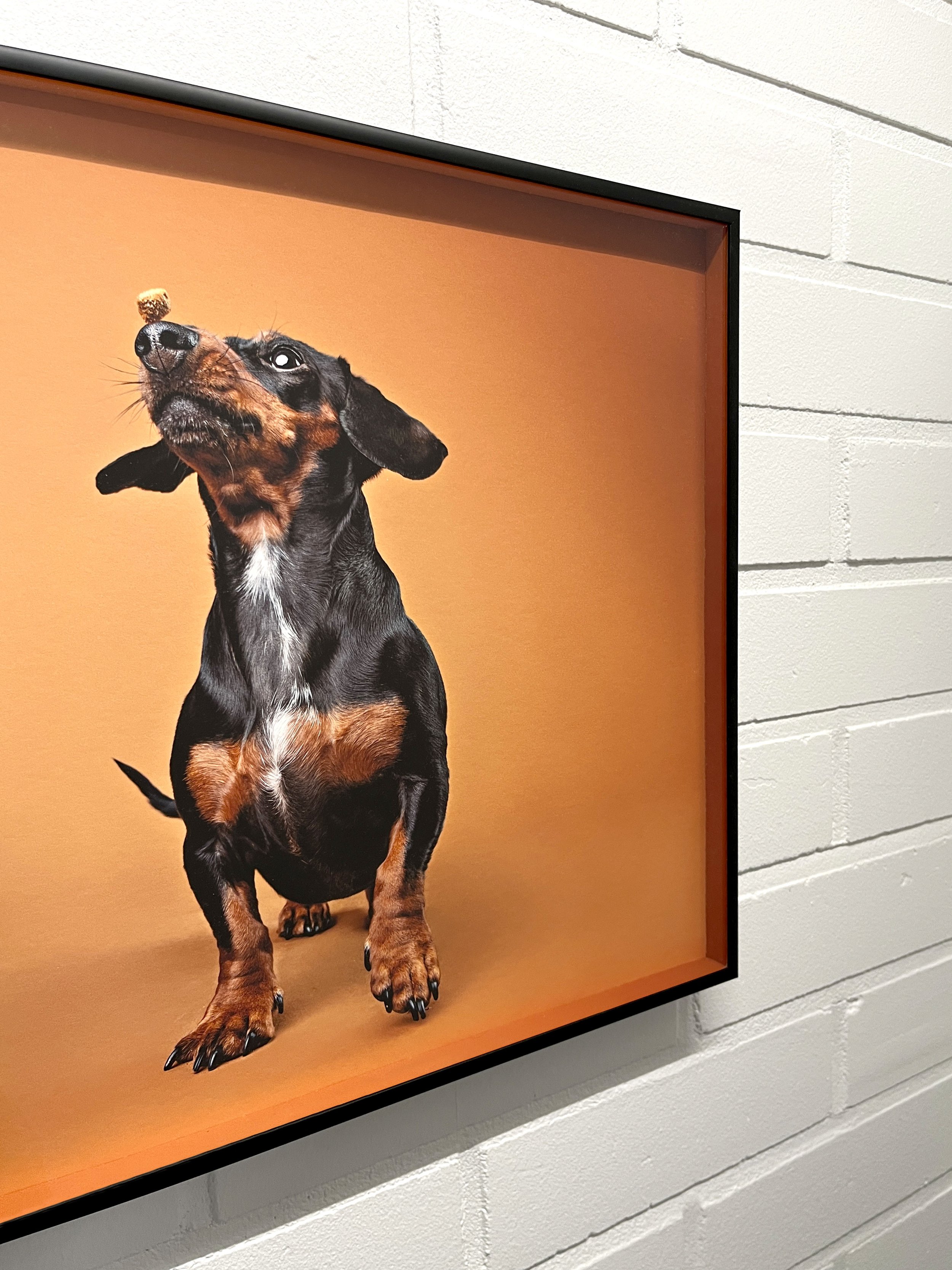 Nielsen22 / printed spacer strip / glass