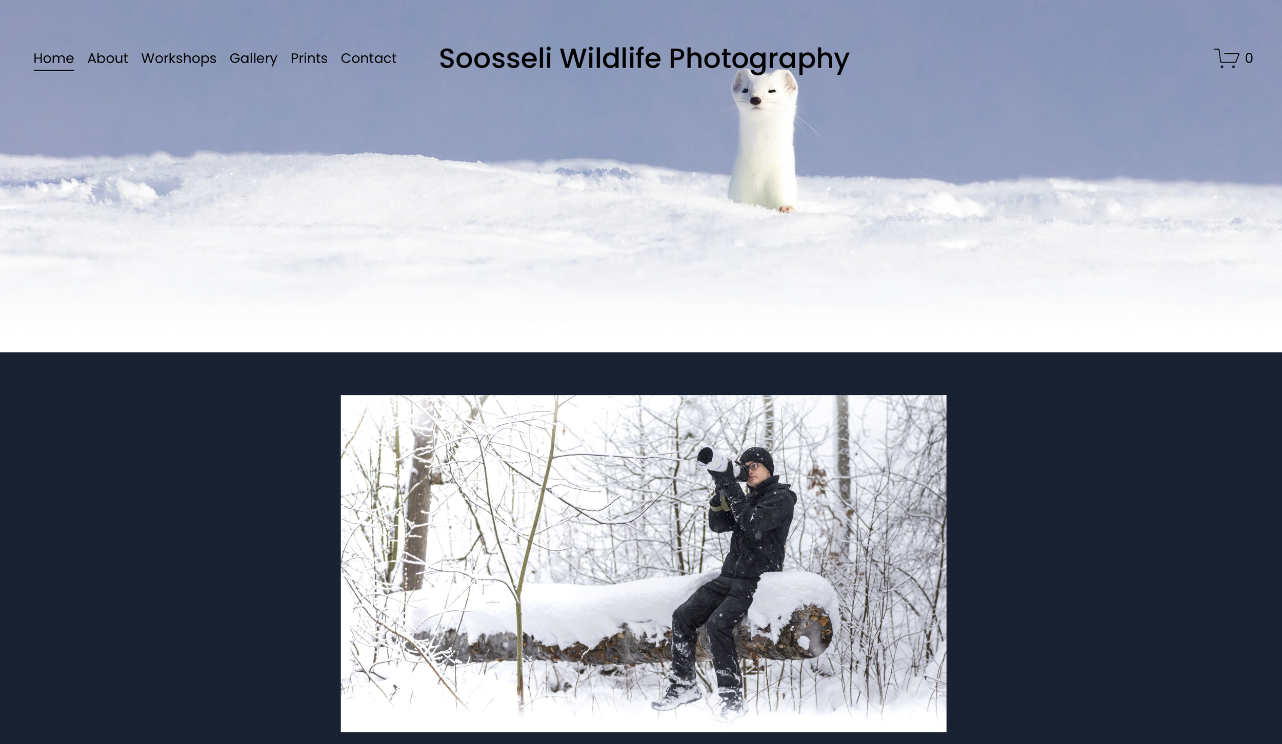 Soosseli (made the website themselves)