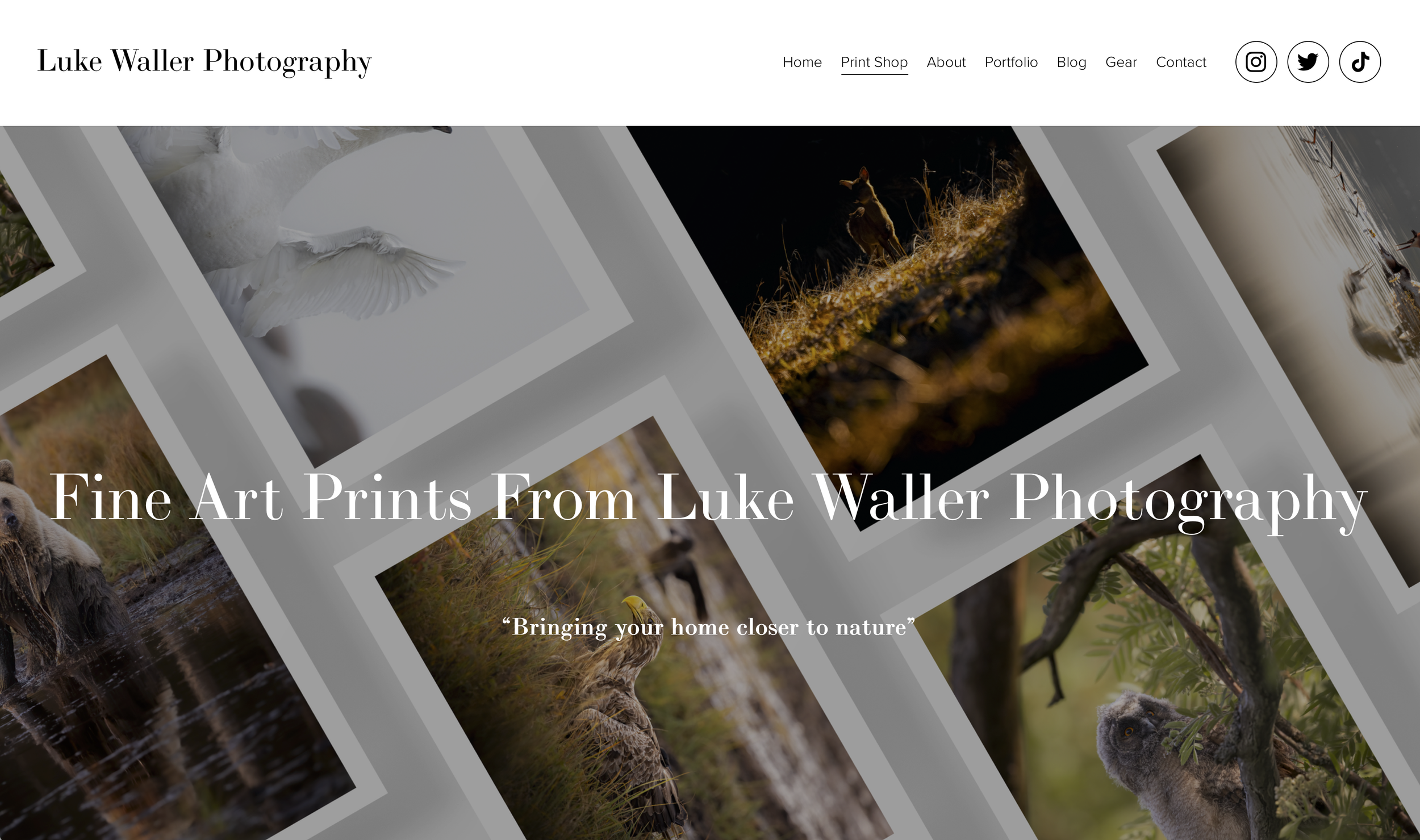 Luke Waller