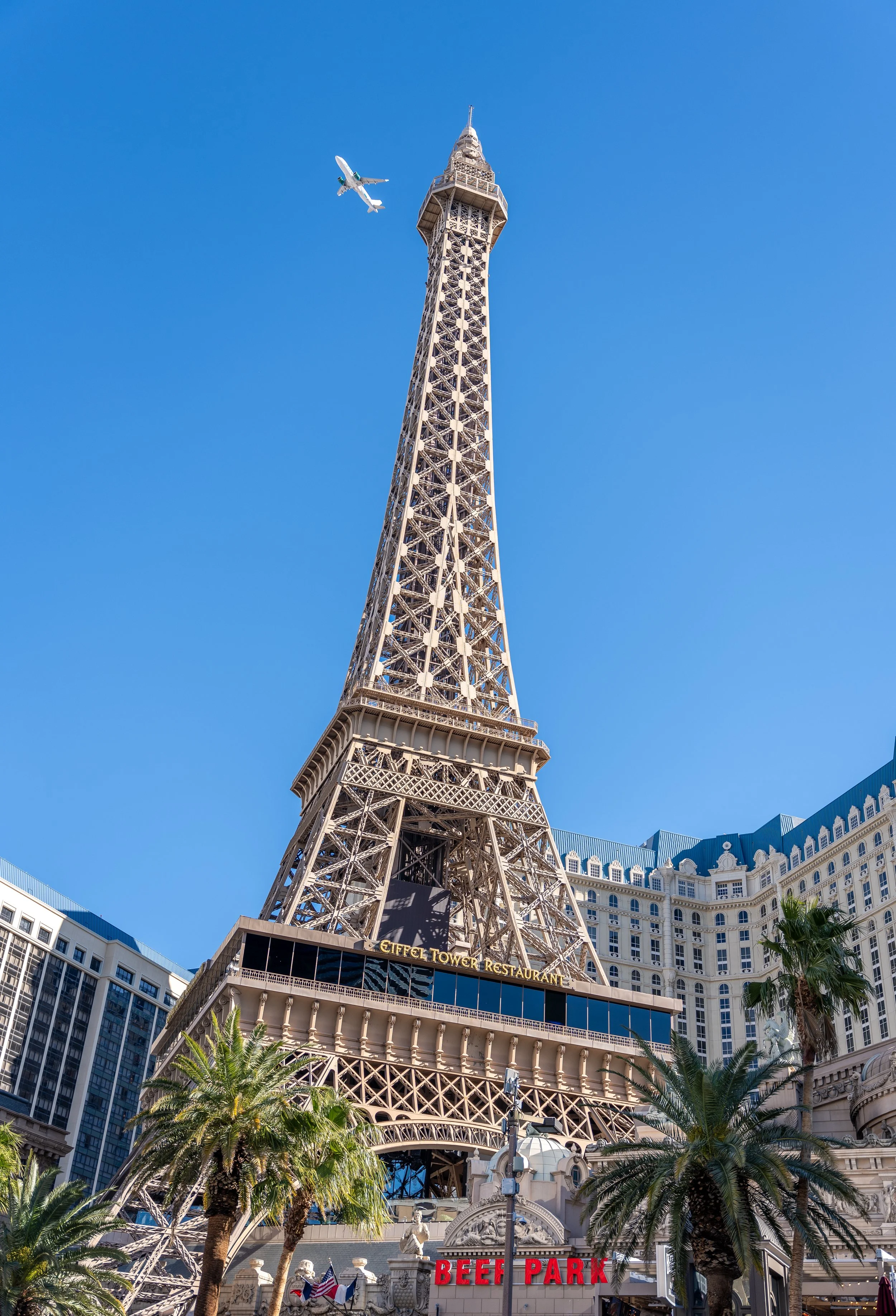 LV Strip 1.13.25 2.jpg