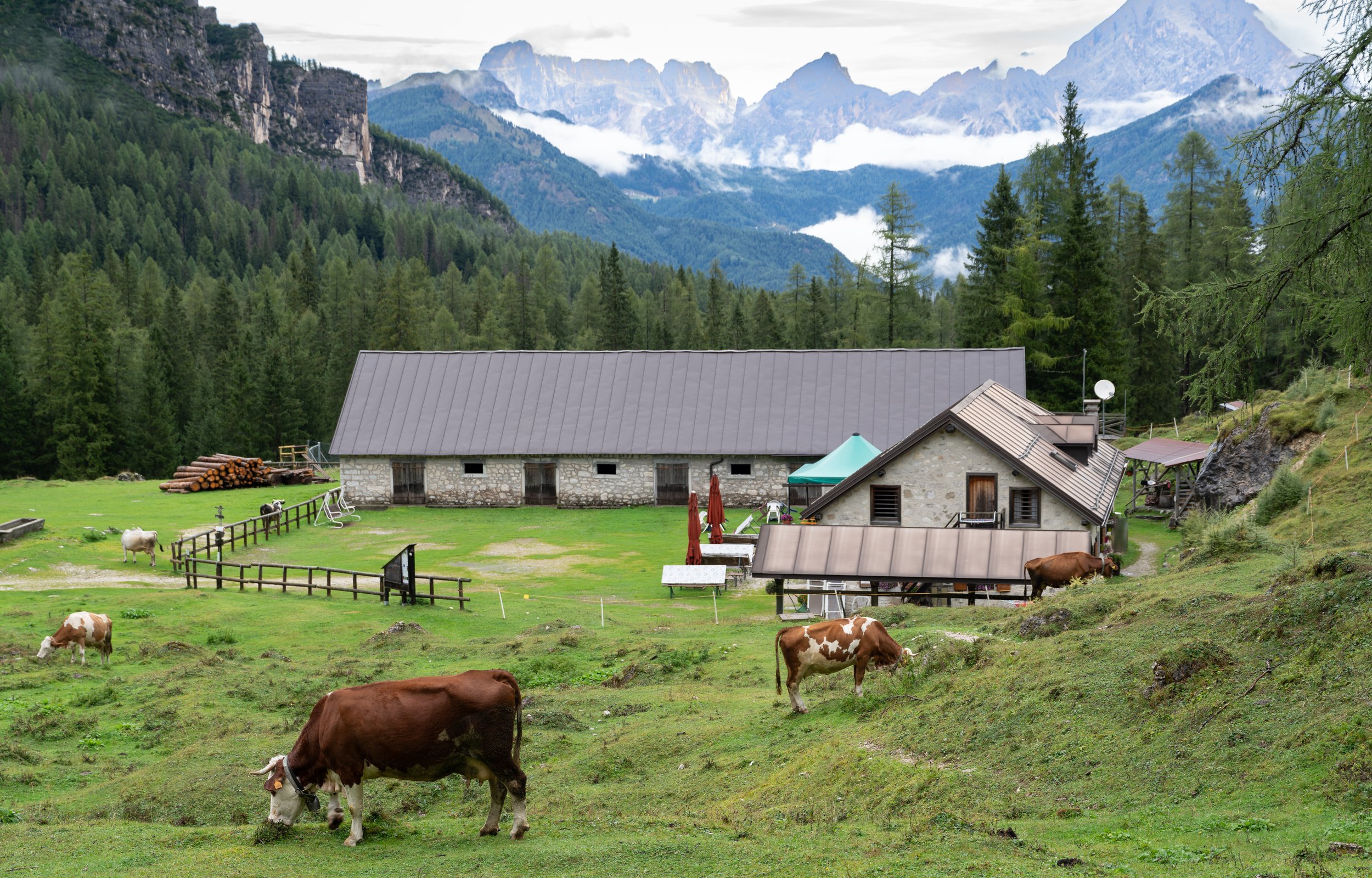 Italy_ Switzerland 2026 144.jpg