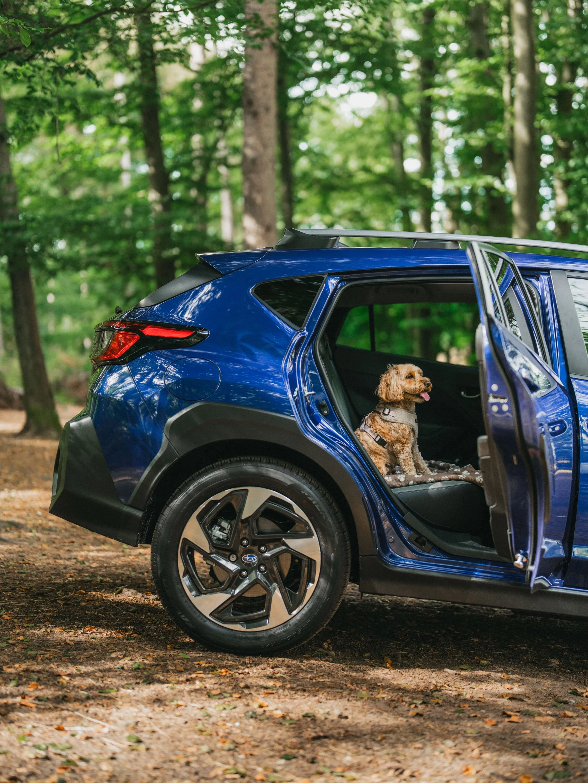 Dog-friendly test drives, shot for Subaru 🐾

Client: @subaruuk 
Production: @btv.uk 
Director: @jakebarrettuk 
Cam Op: James Barnett
Photography: 🙋🏼&zwj;♂️
Talent: @bethcrowther_x
Dog model: @adventuresofwinniebee