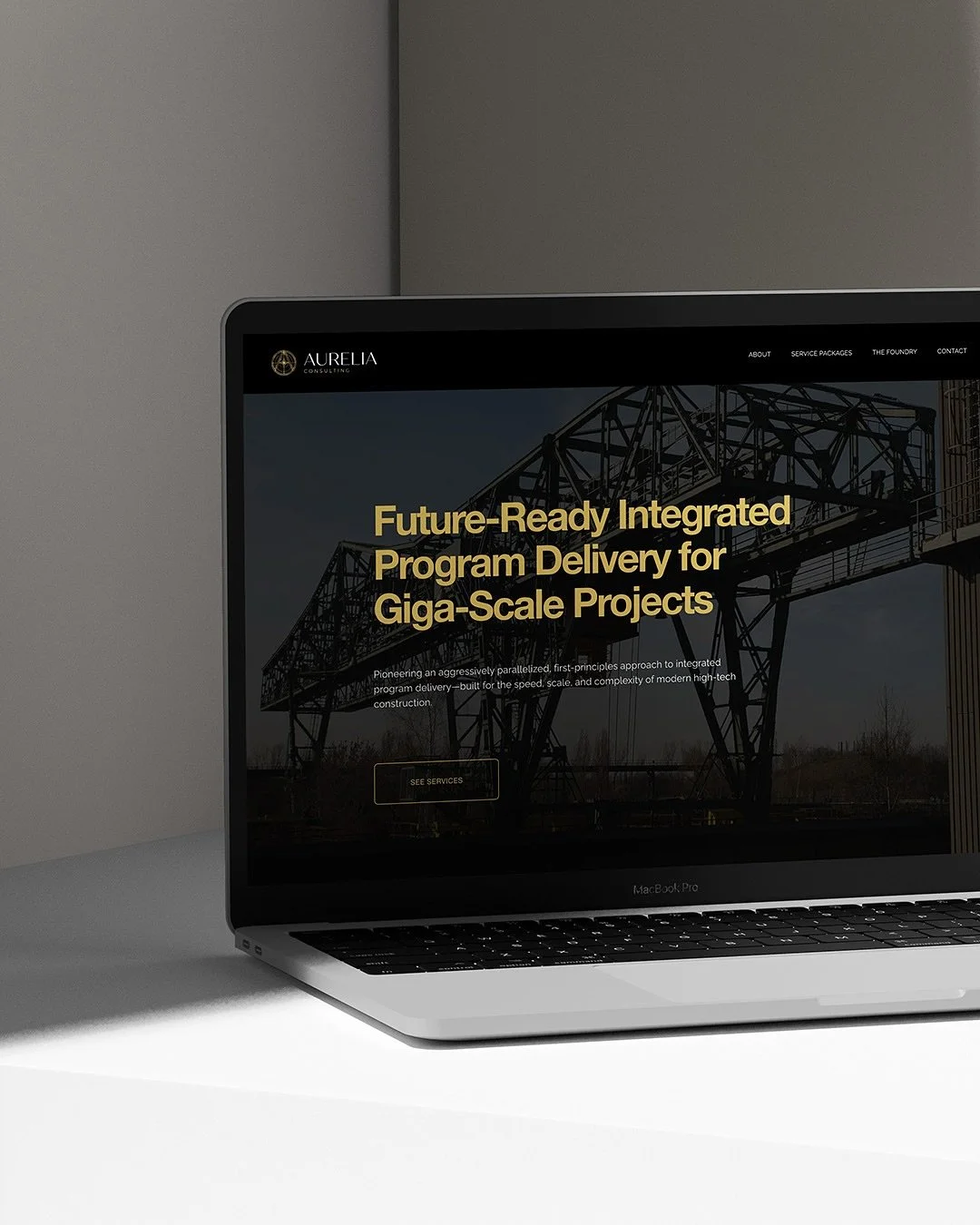 Imagine your website being DONE&hellip;
while you&rsquo;re wrapping gifts and sipping something warm&hellip;

A few weeks ago, one of my clients told me:
&ldquo;I just want my website handled before Christmas.&rdquo;

She&rsquo;d been trying to DIY h