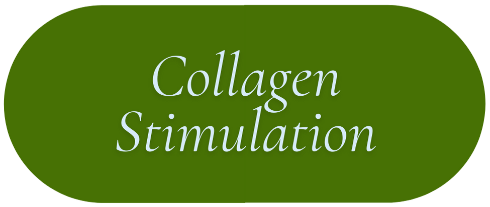 SA-Treatment-CollagenStim.png