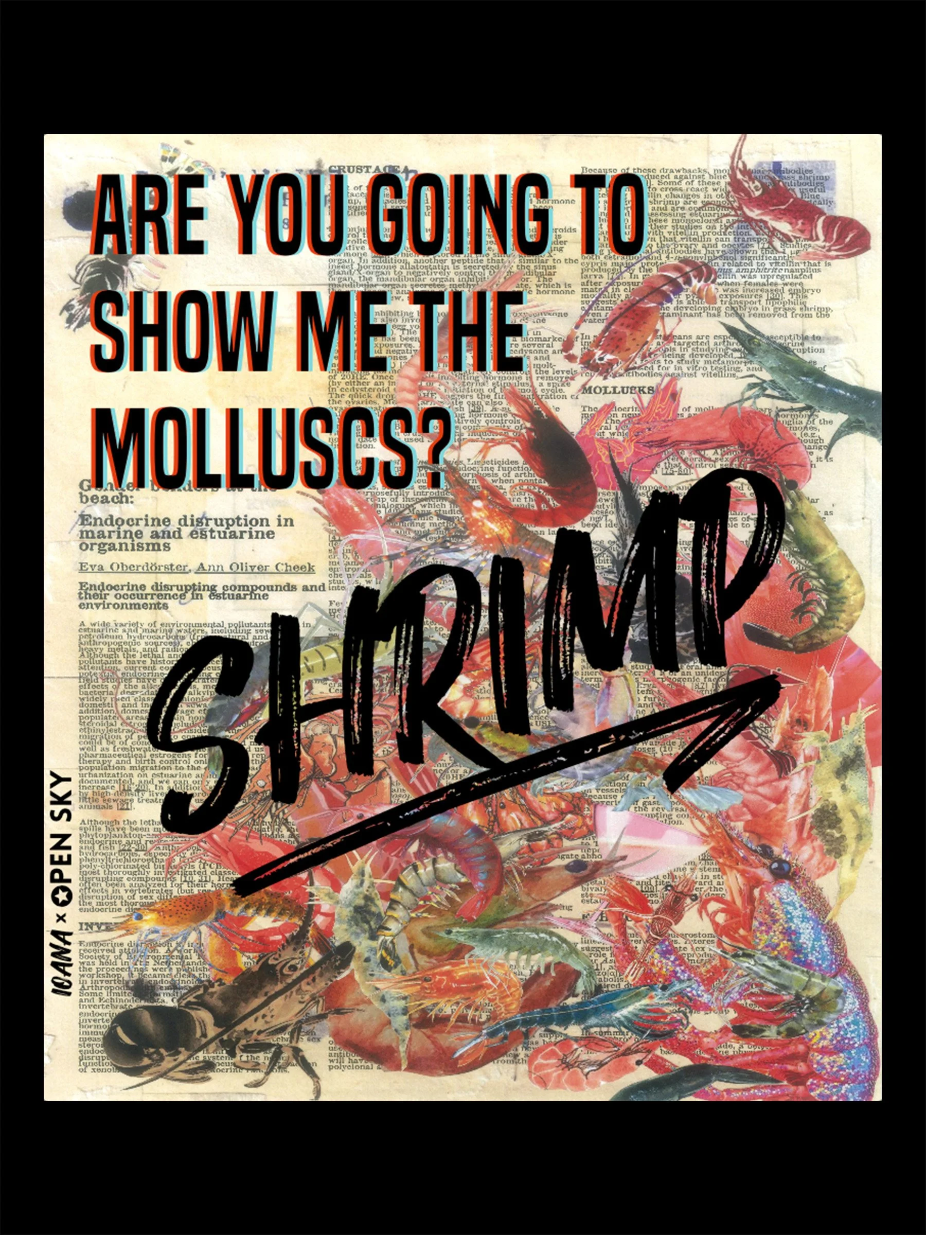 Shrimp_Ioana_Tote design_2_black.jpg