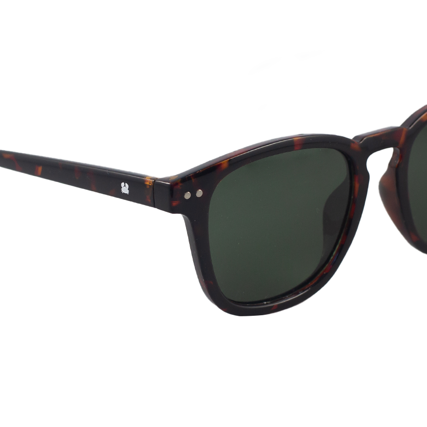 OceanidesEyewear_Metis_tortoise green_close up.png