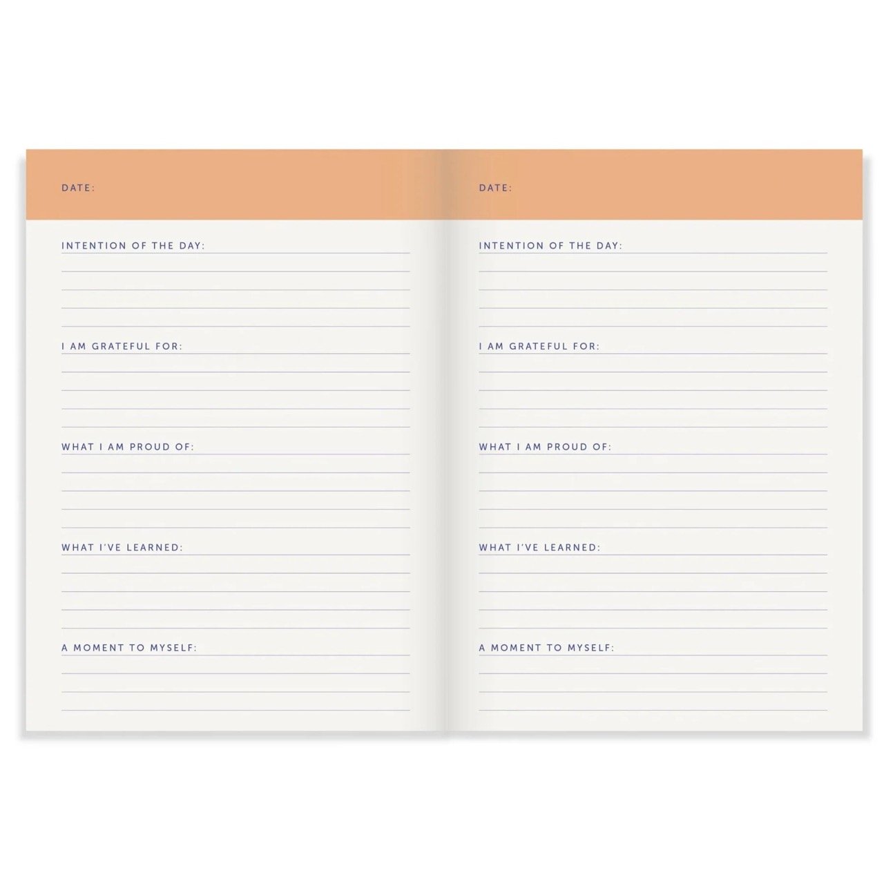 A-JOURNAL-Dailyjournal-NOTABLENOTEBOOKS_2_clipped_rev_1 Large.jpeg