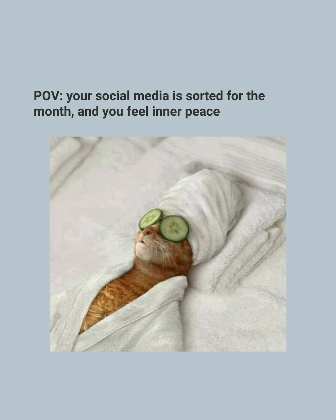 Which one are you?👀😌😰