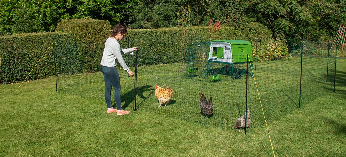 Omlet Chicken Runs — Creag Mhor Poultry