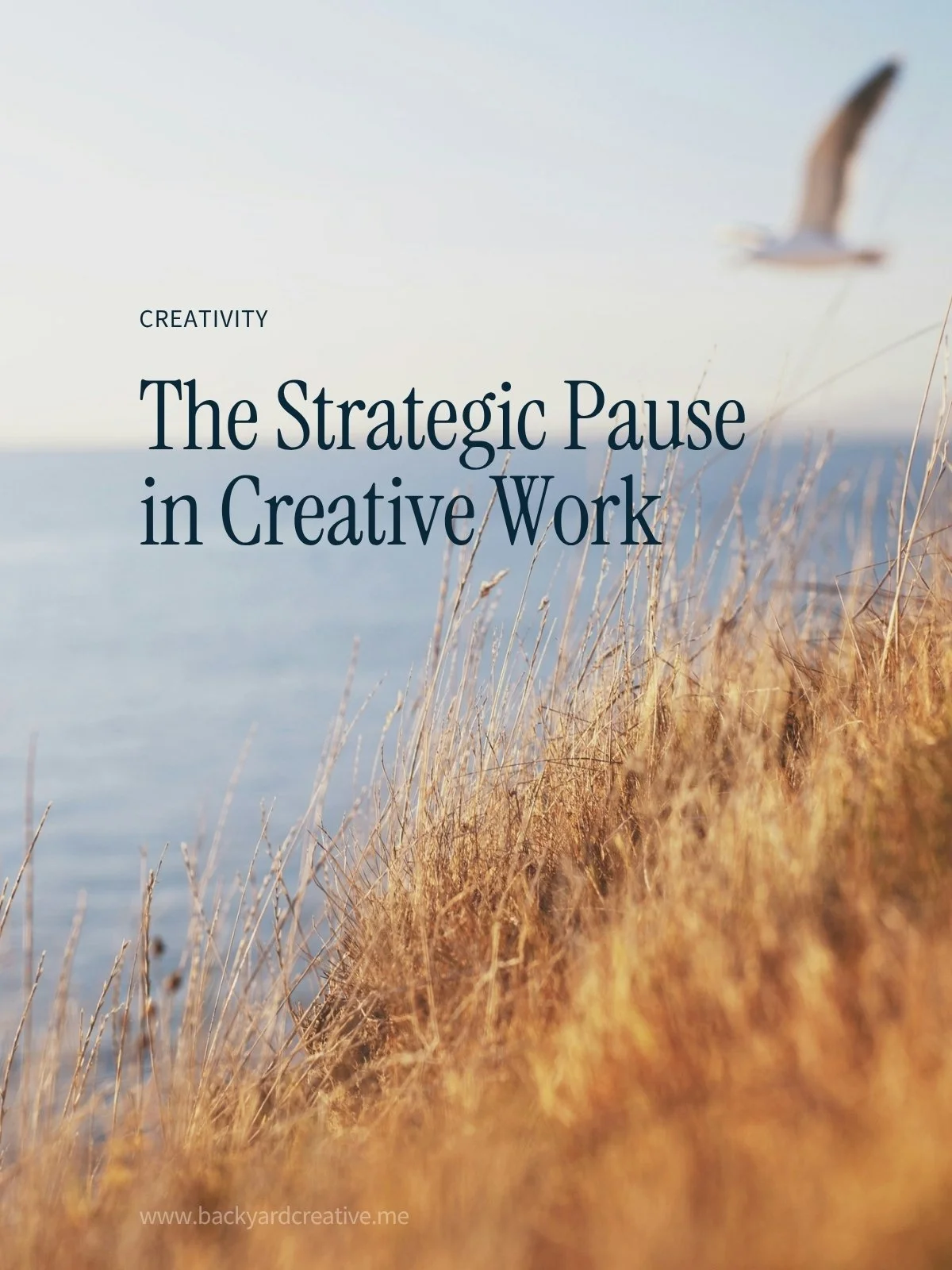 There are natural pauses in our professional and creative journeys. A pause allows us to stop and evaluate. A pause allows us to change direction. A pause allows us to let go of what no longer works. A pause allows the new thing to emerge fully. A pa