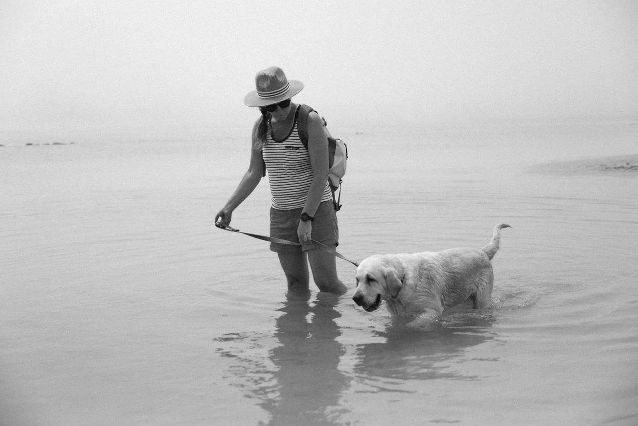 Claire Brear with her rescue labrador wading in the river