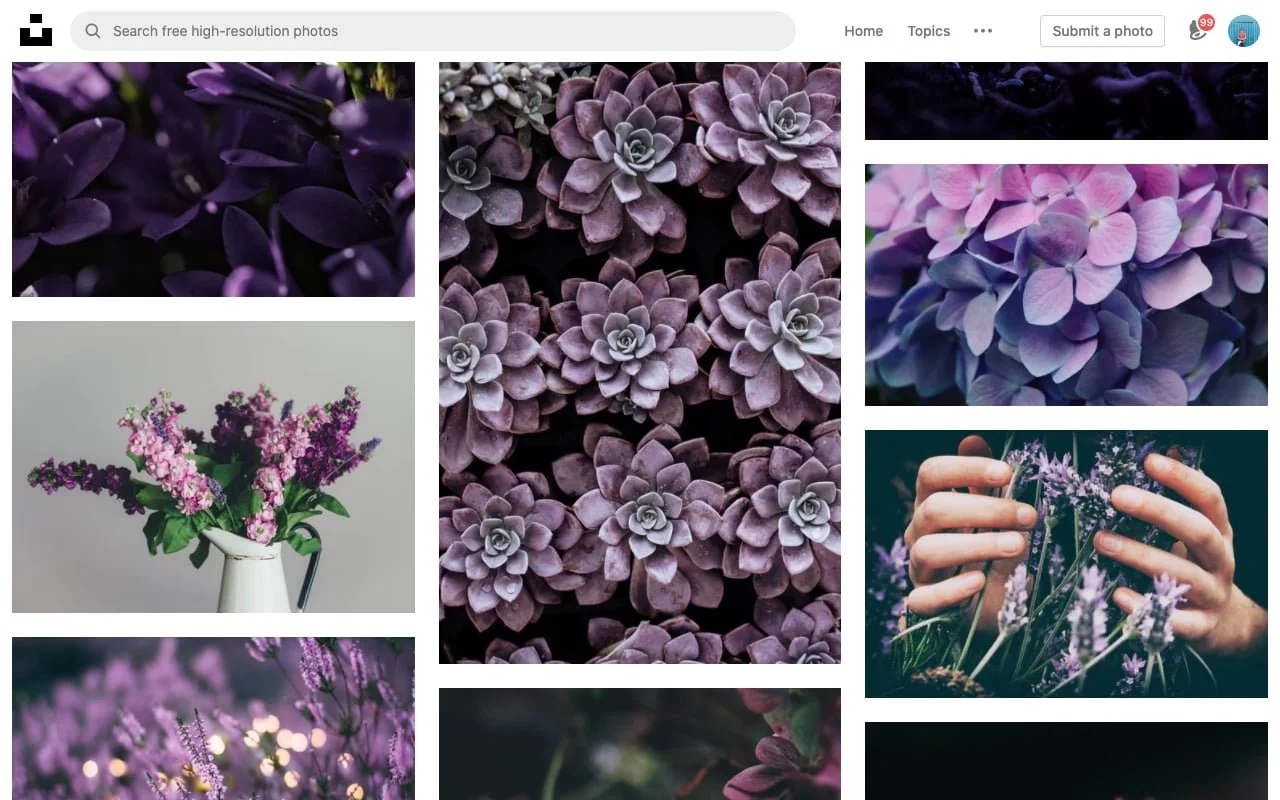 lavender greens and purples images