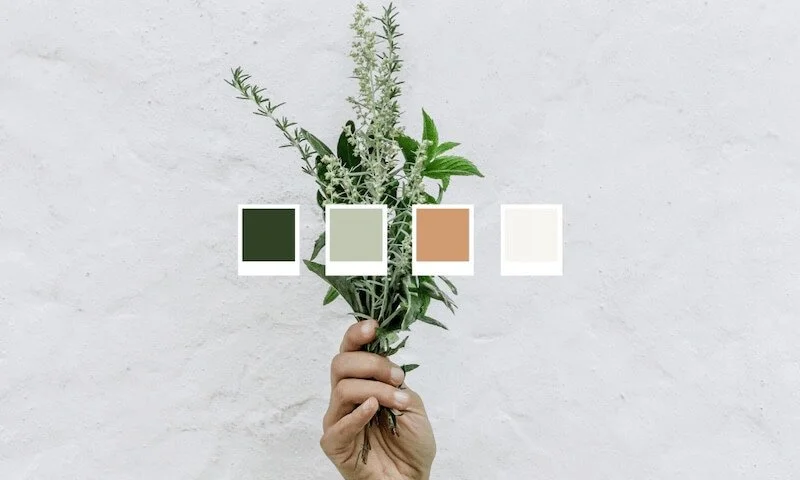 Whimsical earthy colour palette
