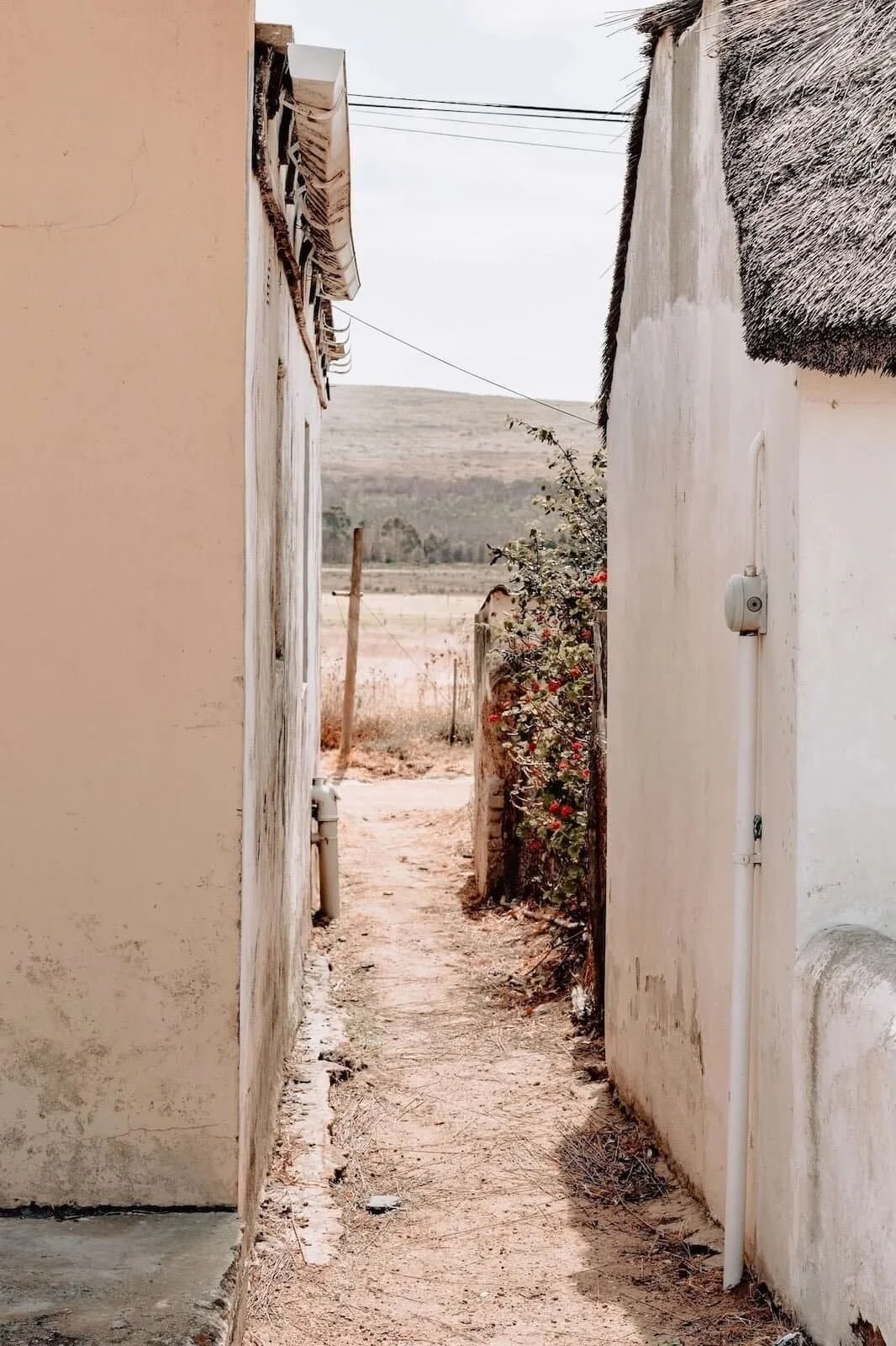 An alleyway between two houses in a rural place
